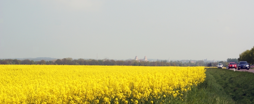 Wurzen
